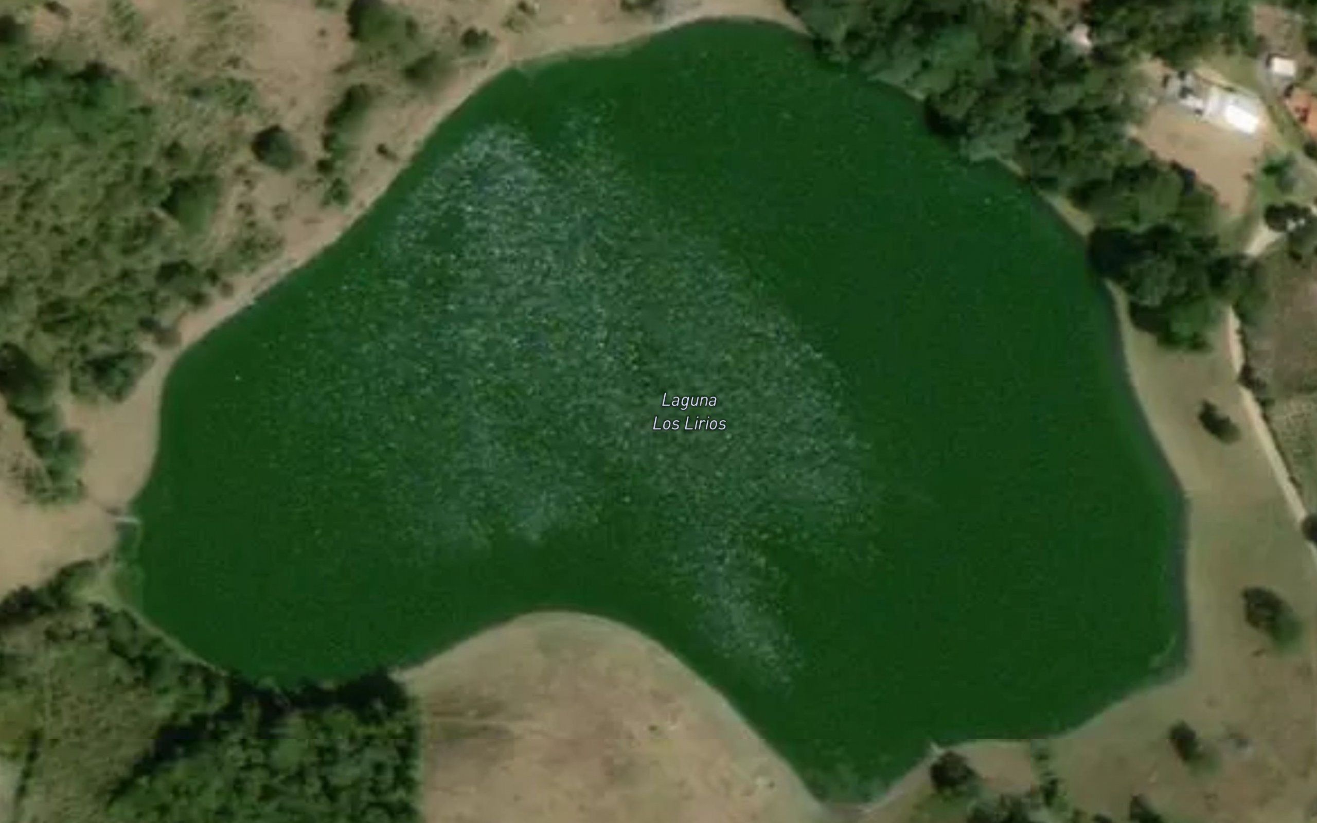 Laguna Los Lirios