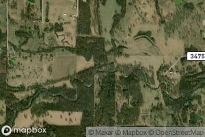 Coon Creek
