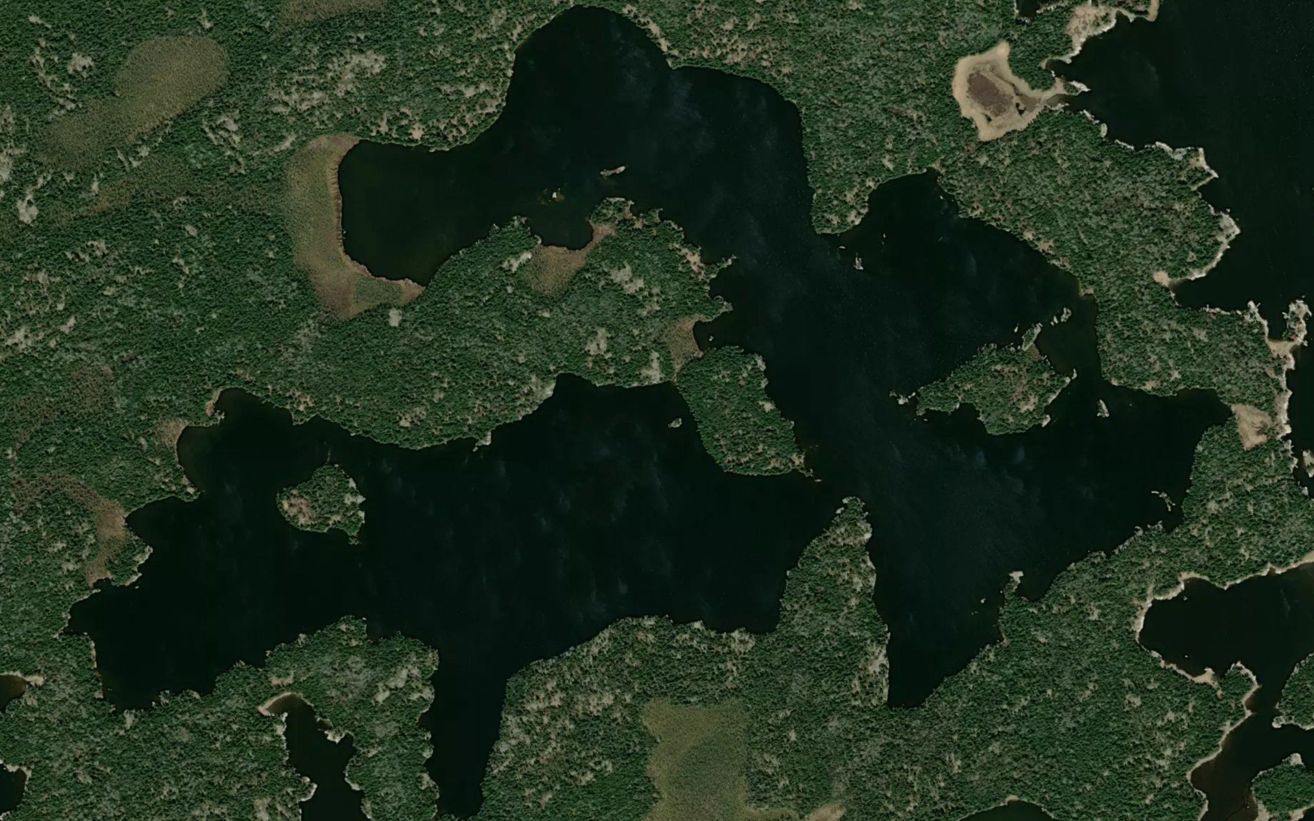 Adamson Lake