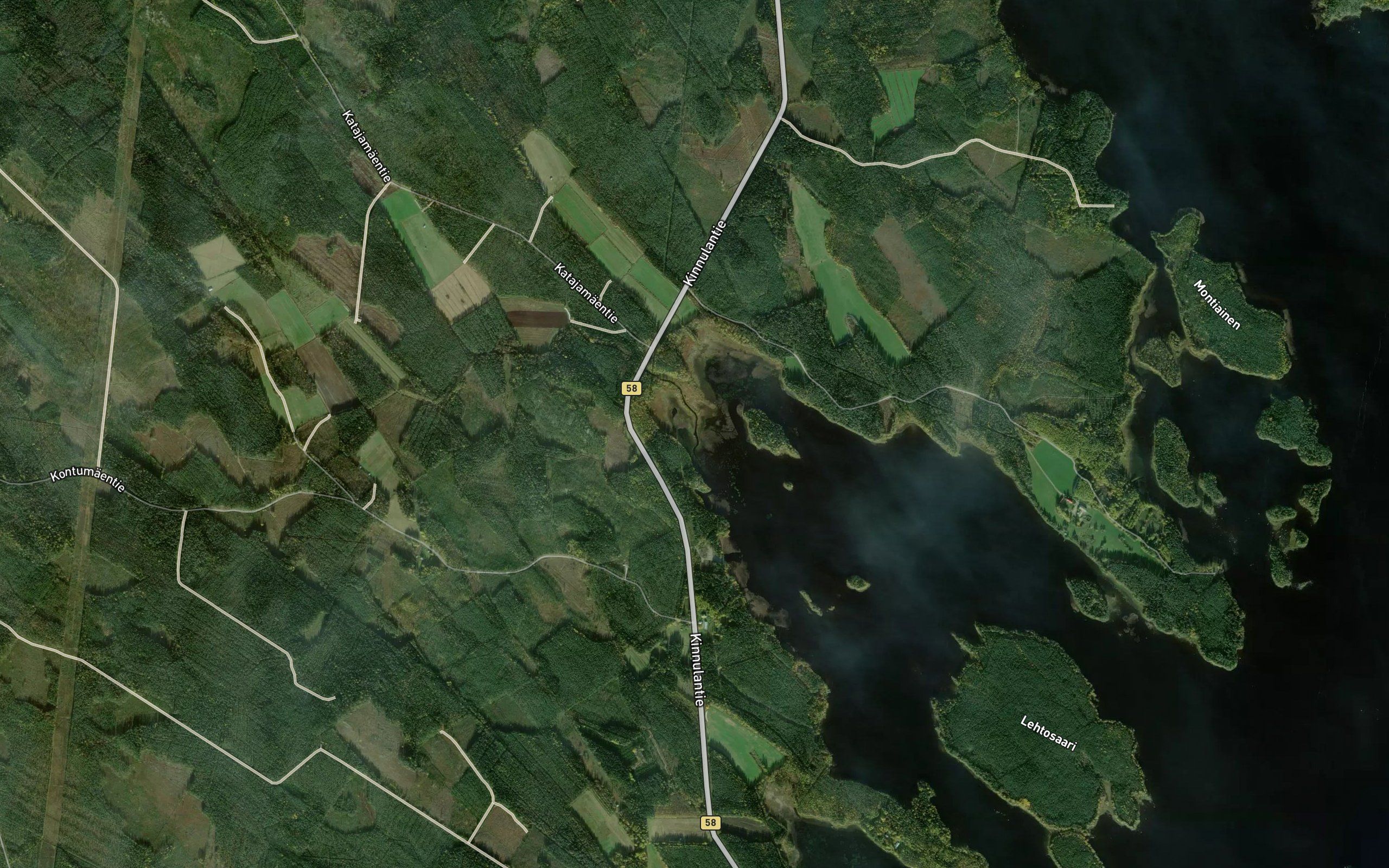 Hanhijoki