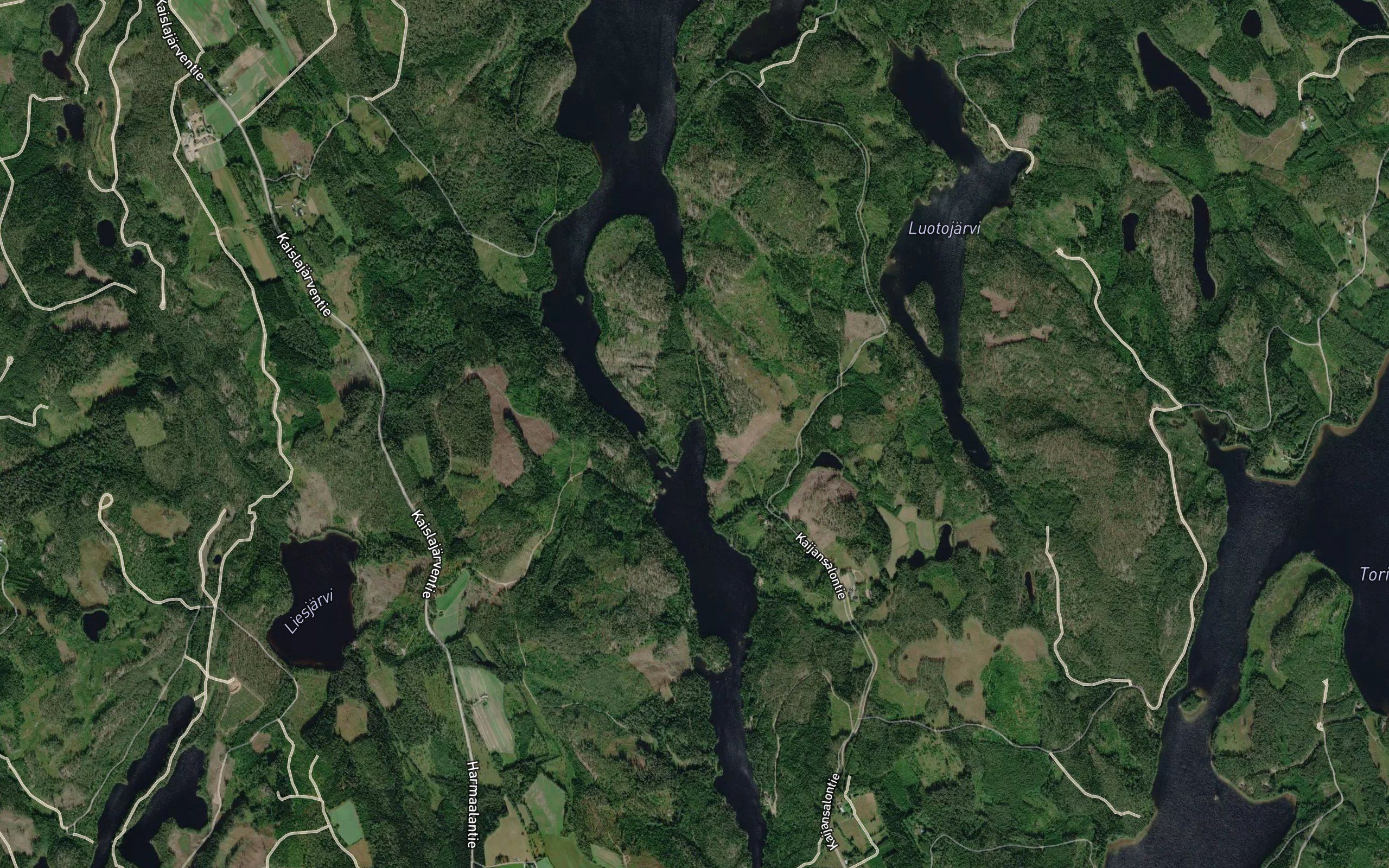 Pieni Mustalahti