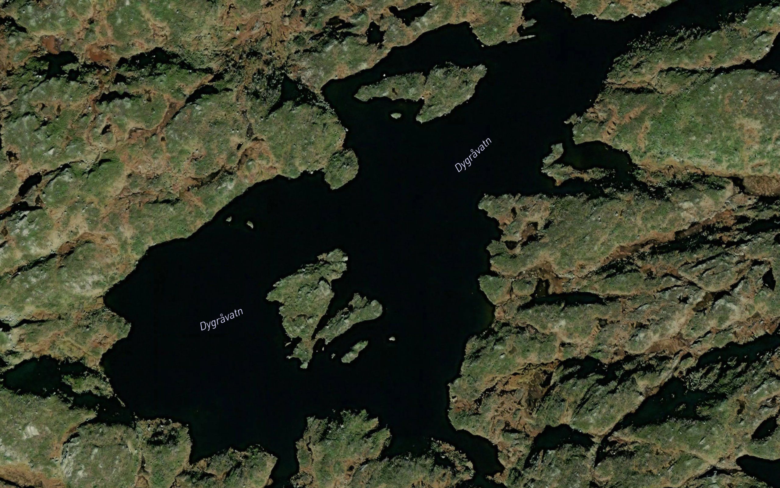 Dyrgrovvatnet