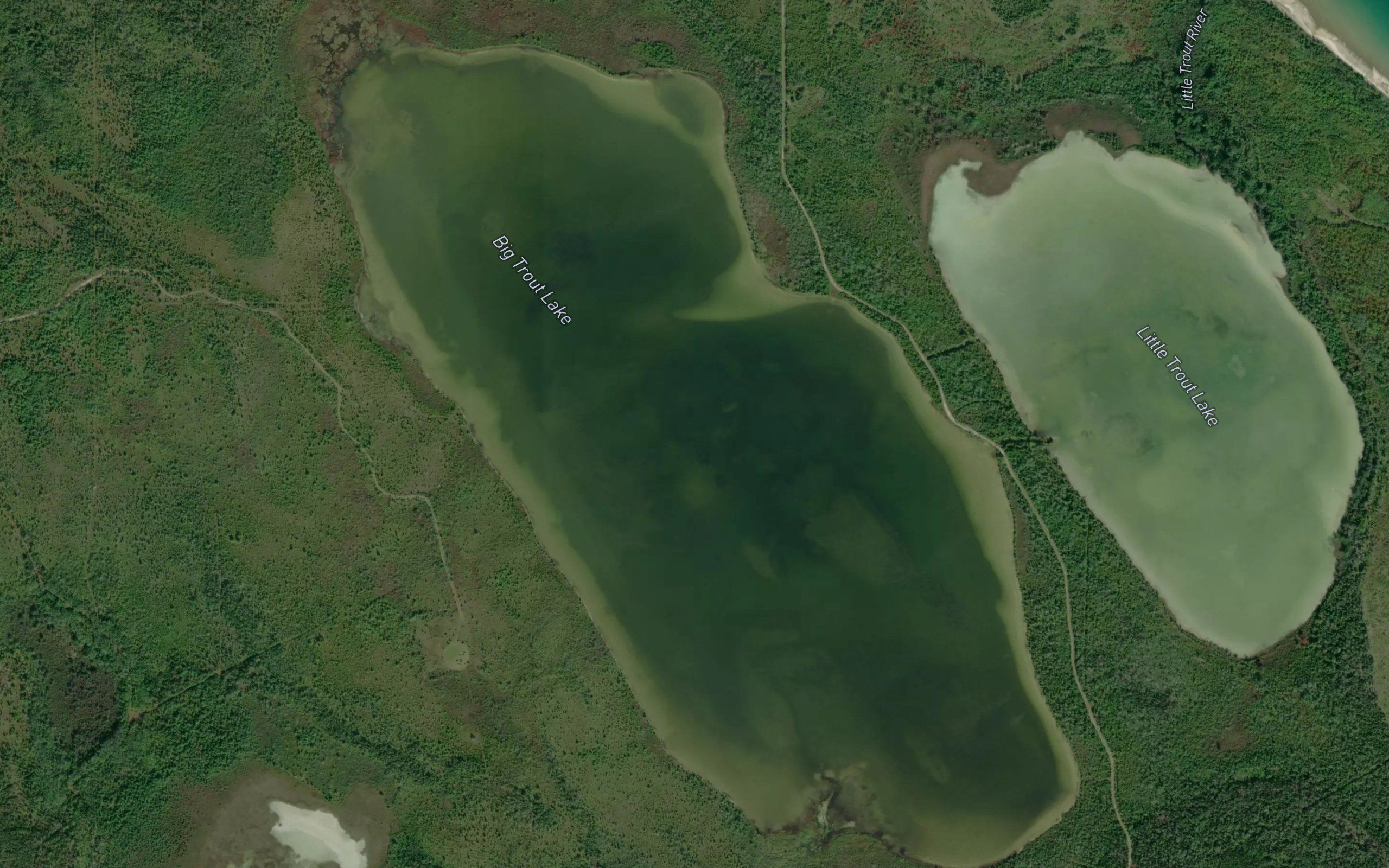 Big Trout Lake