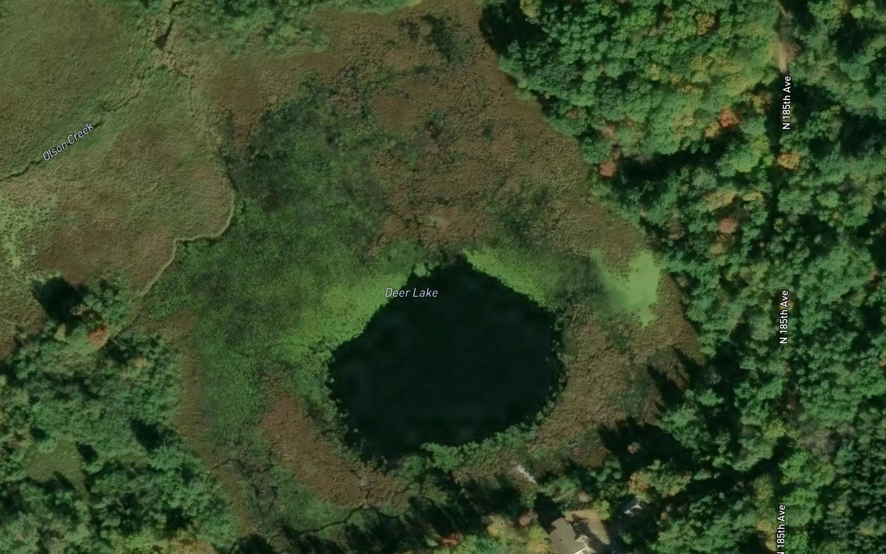 Satellite map of the Deer Lake