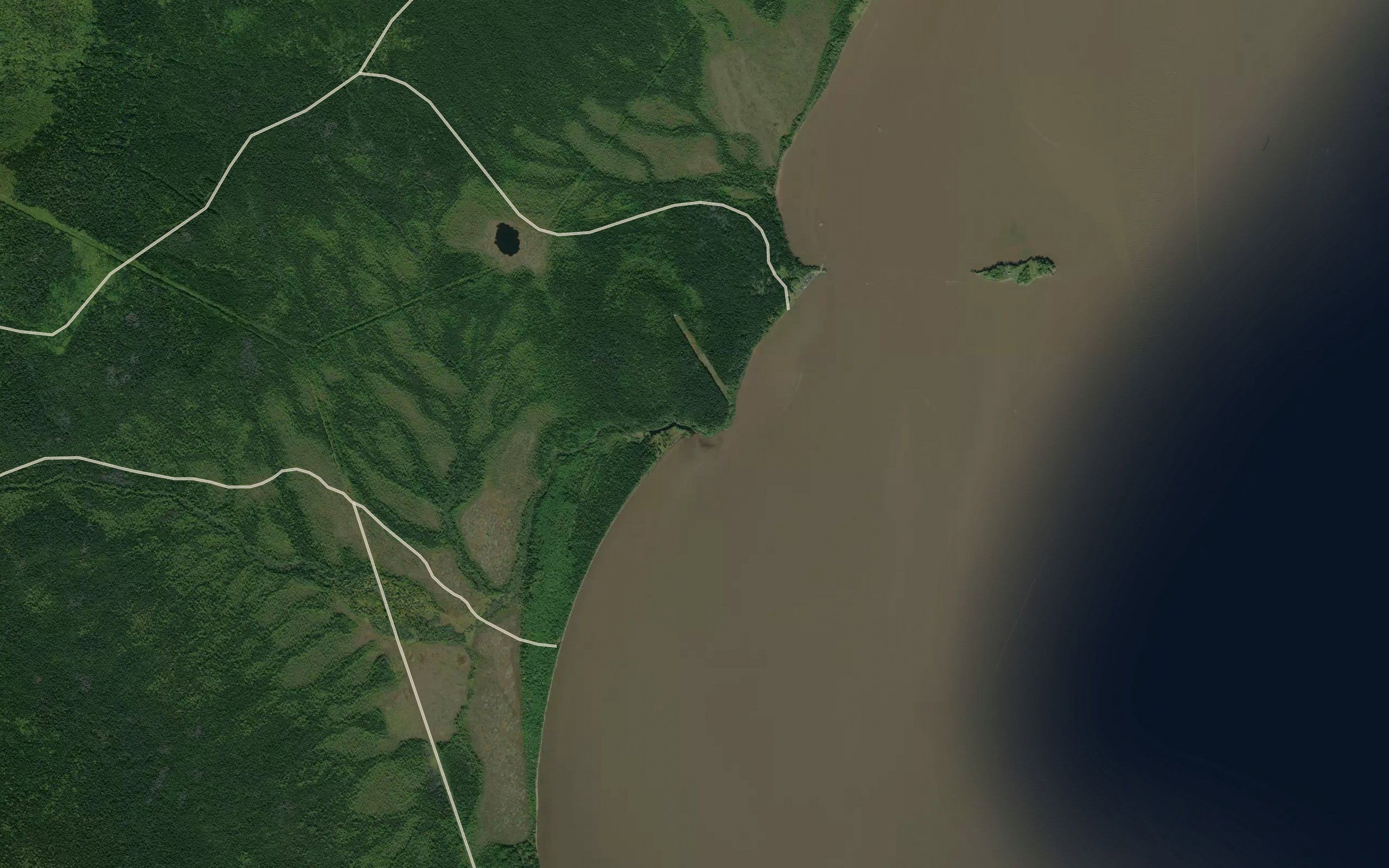 Gryaznaya