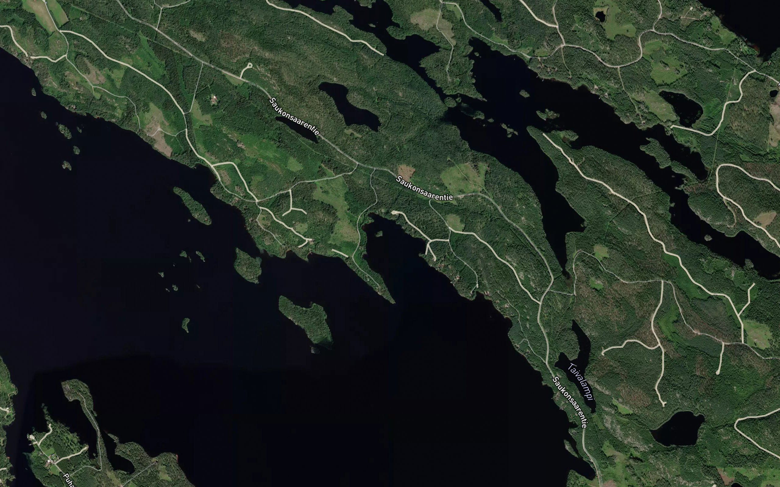 Pitkalahti