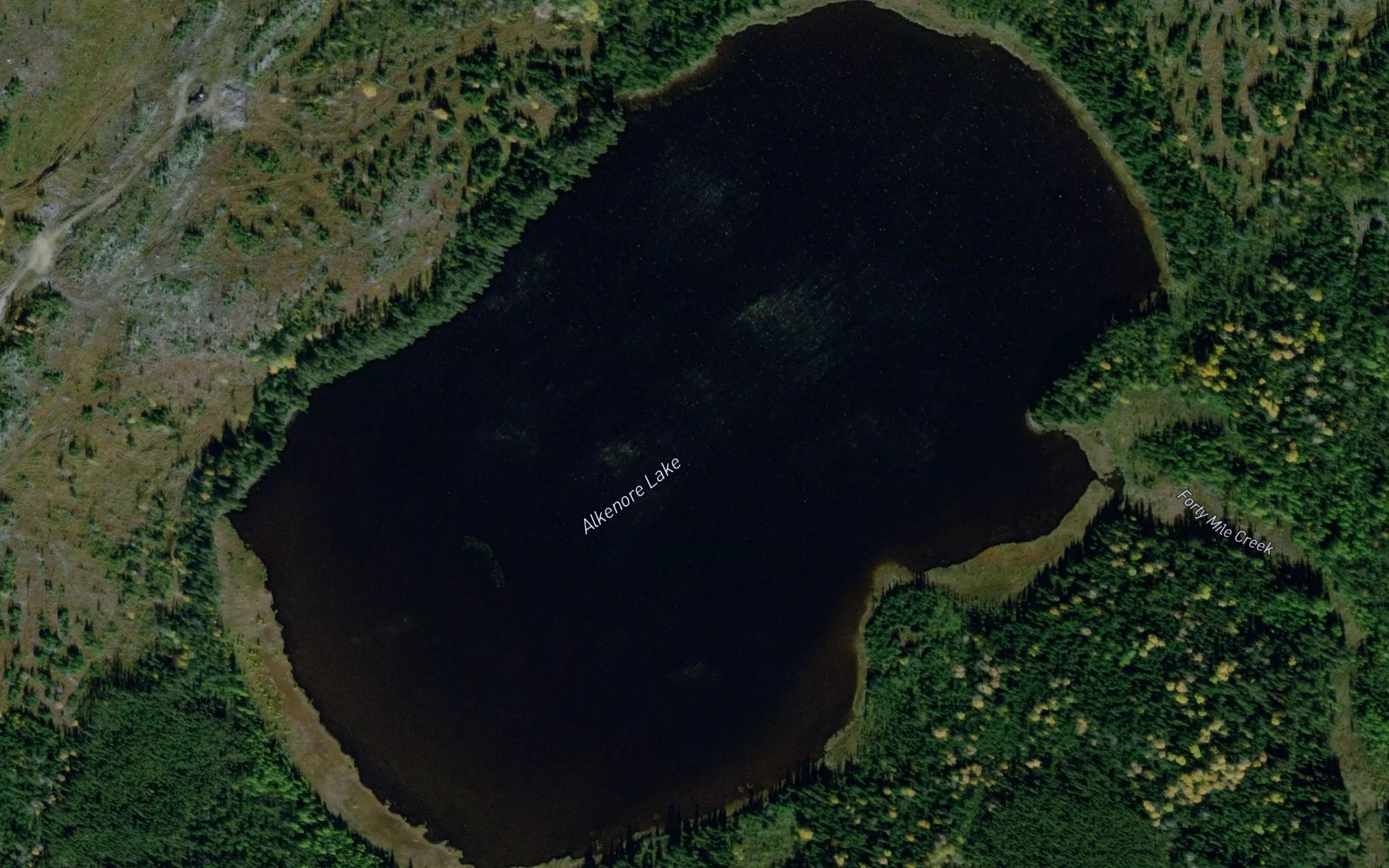 Satellite map of the Alkenore Lake