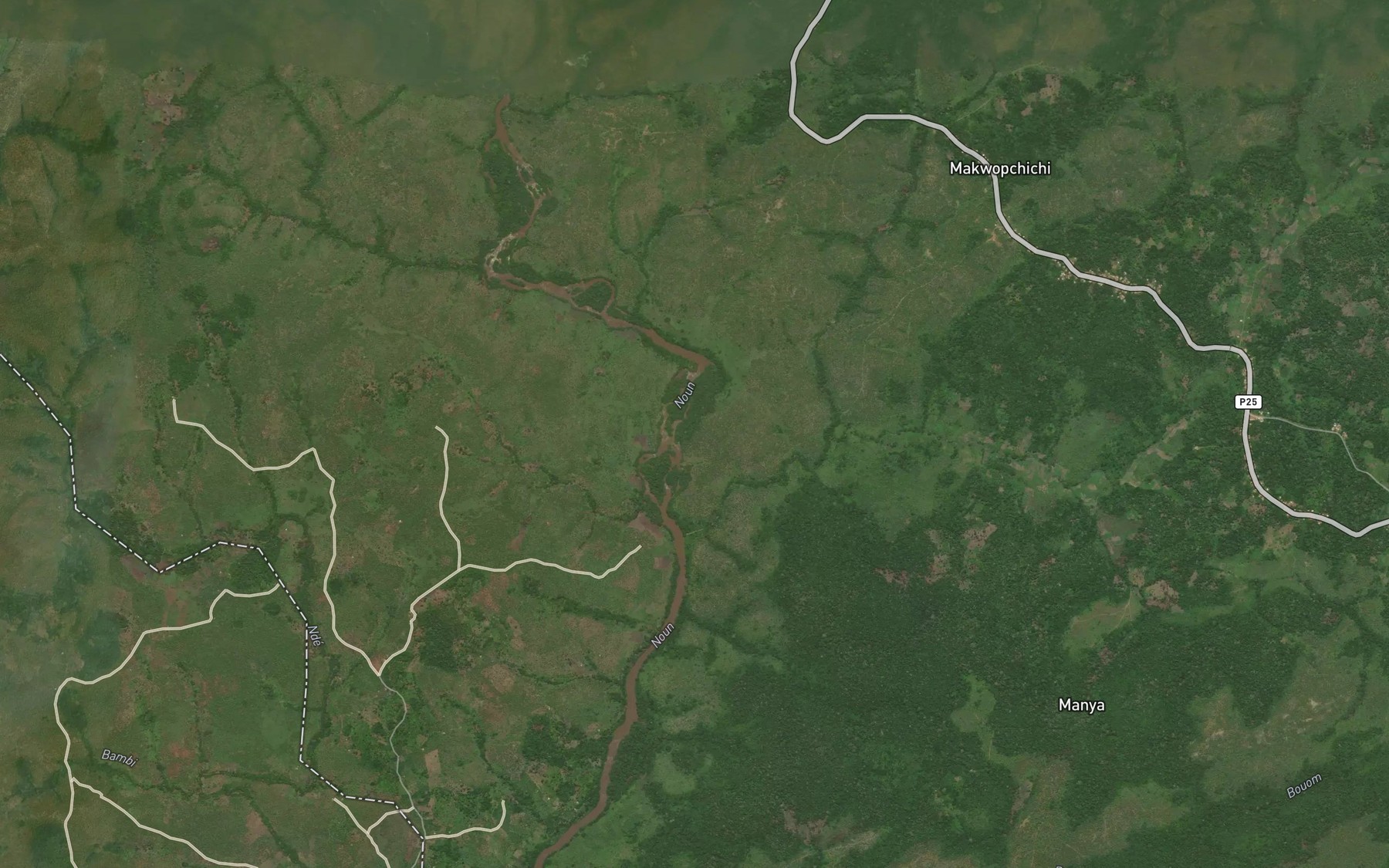Satellite map of the Ngou