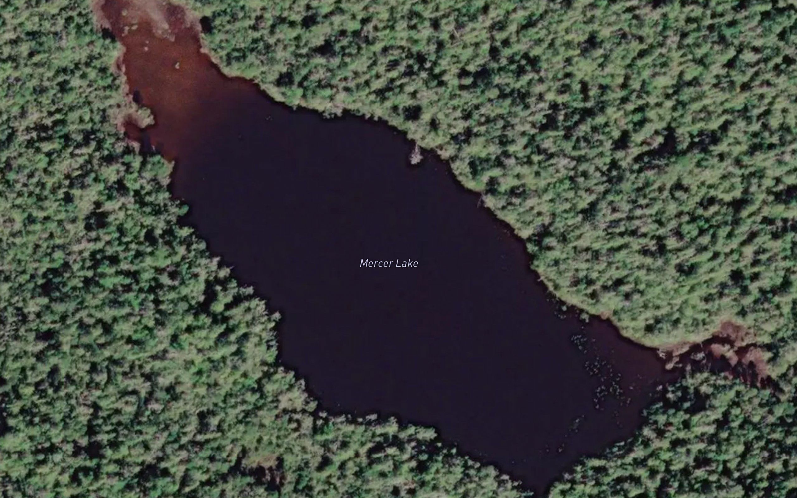 Mercer Lake