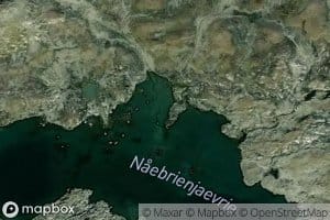 Naebrienjaevrie