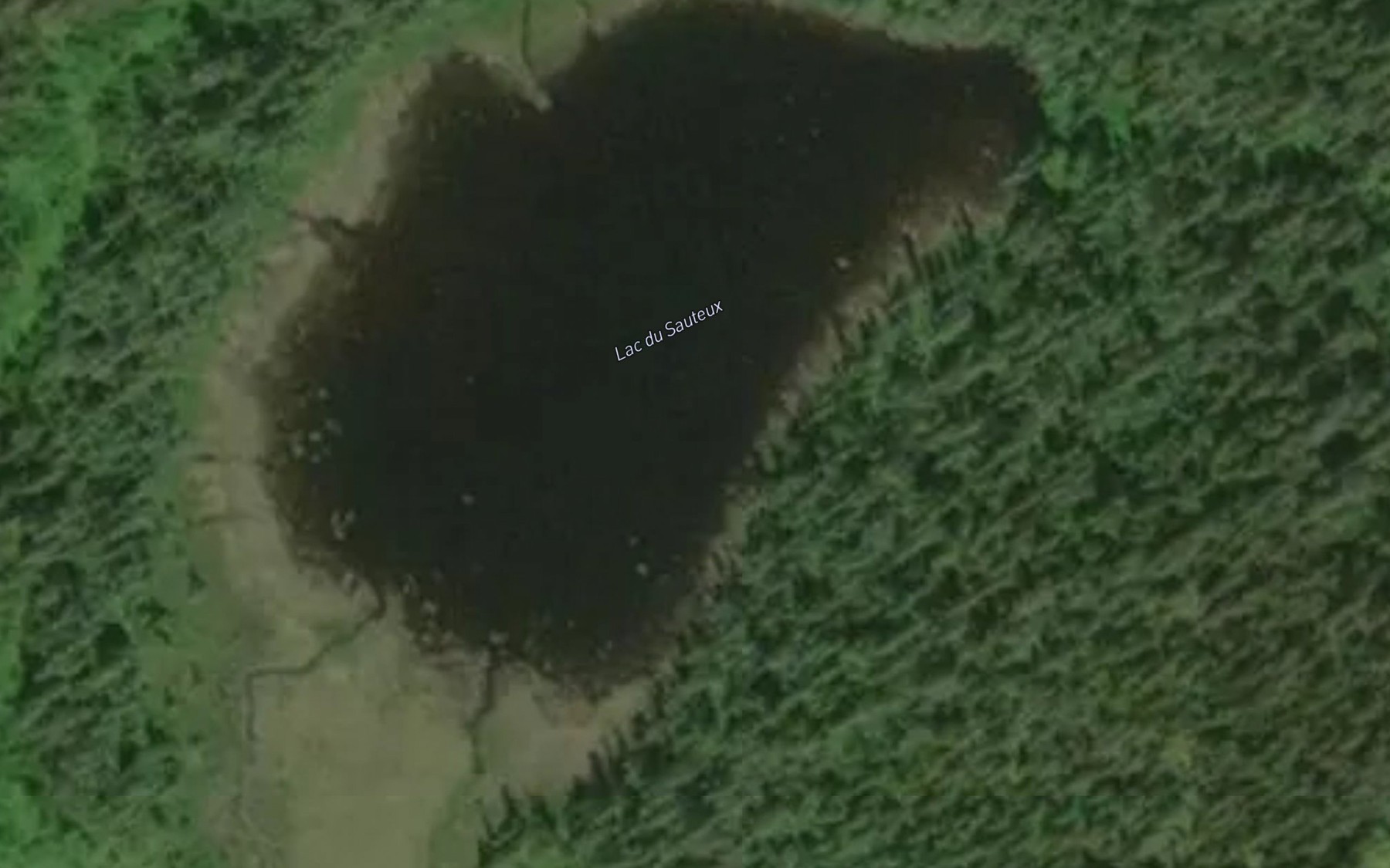 Satellite map of the Lac du Sauteux