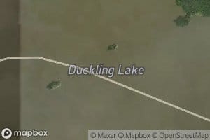 Duckling Lake