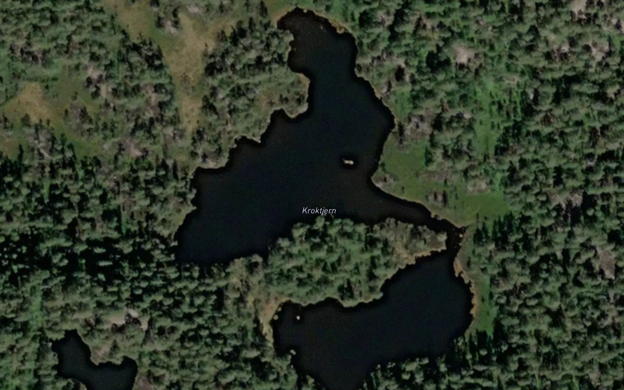 Kroktjern