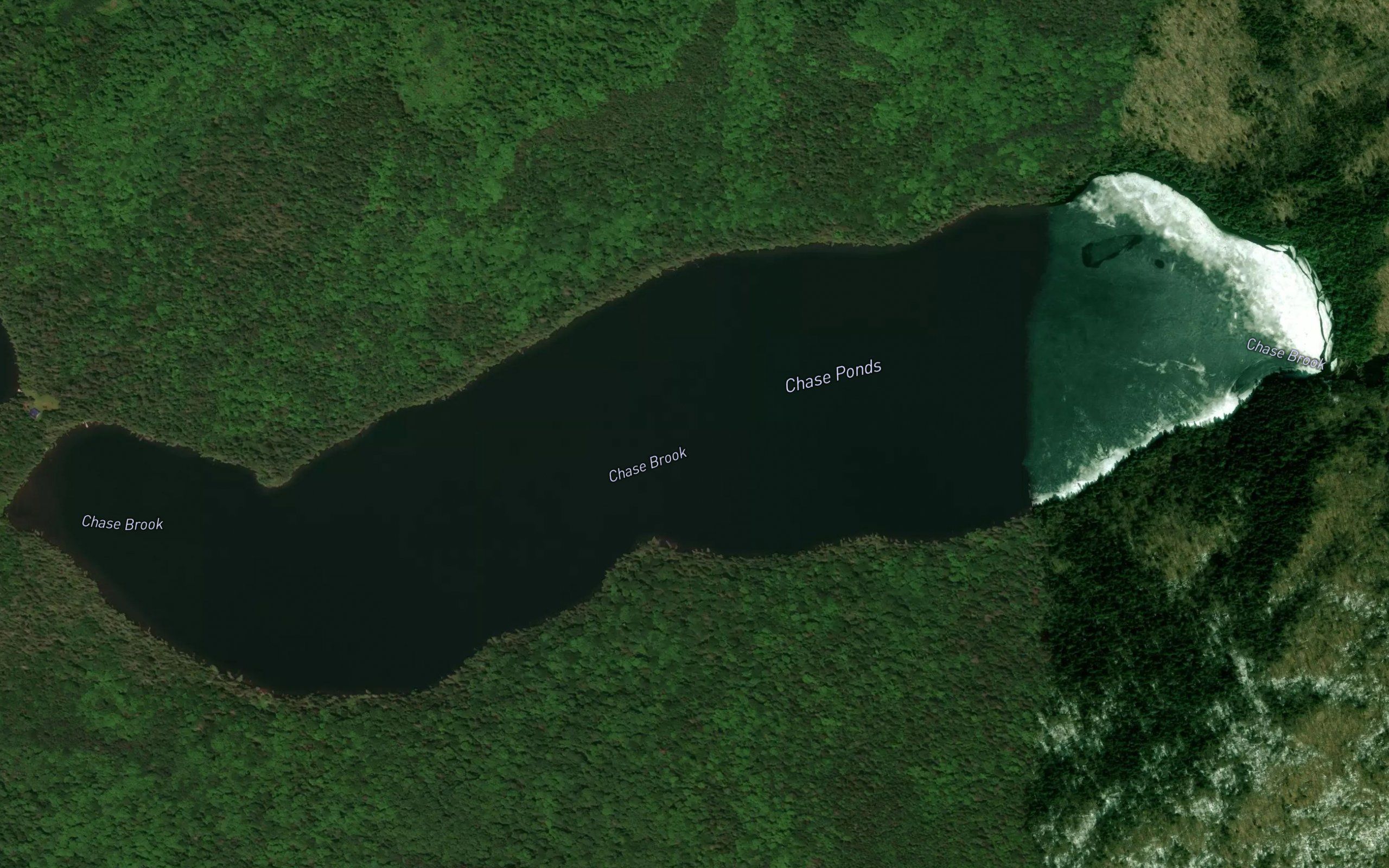 Chase Ponds