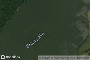 Brian Lake