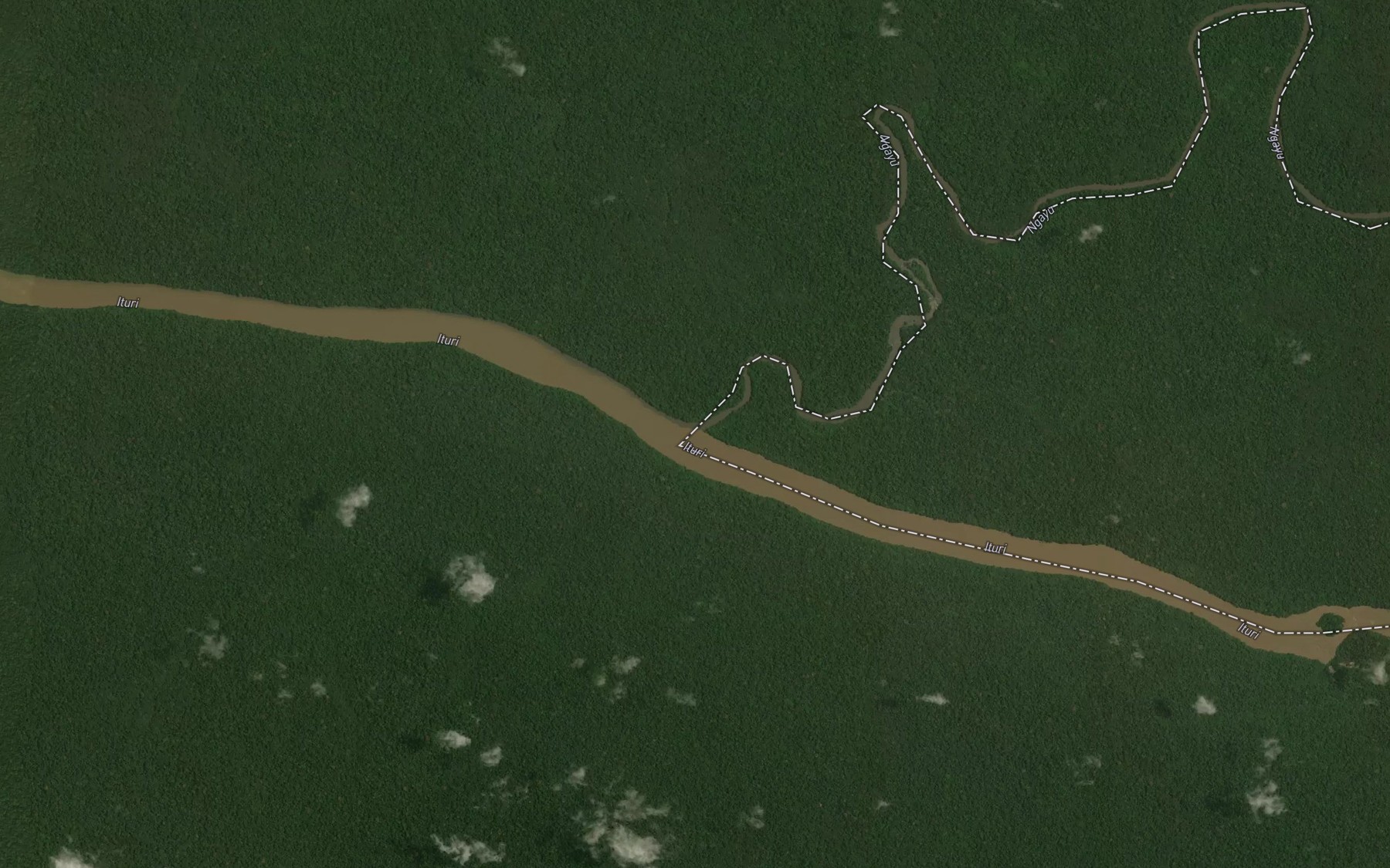 Satellite map of the Ngayu