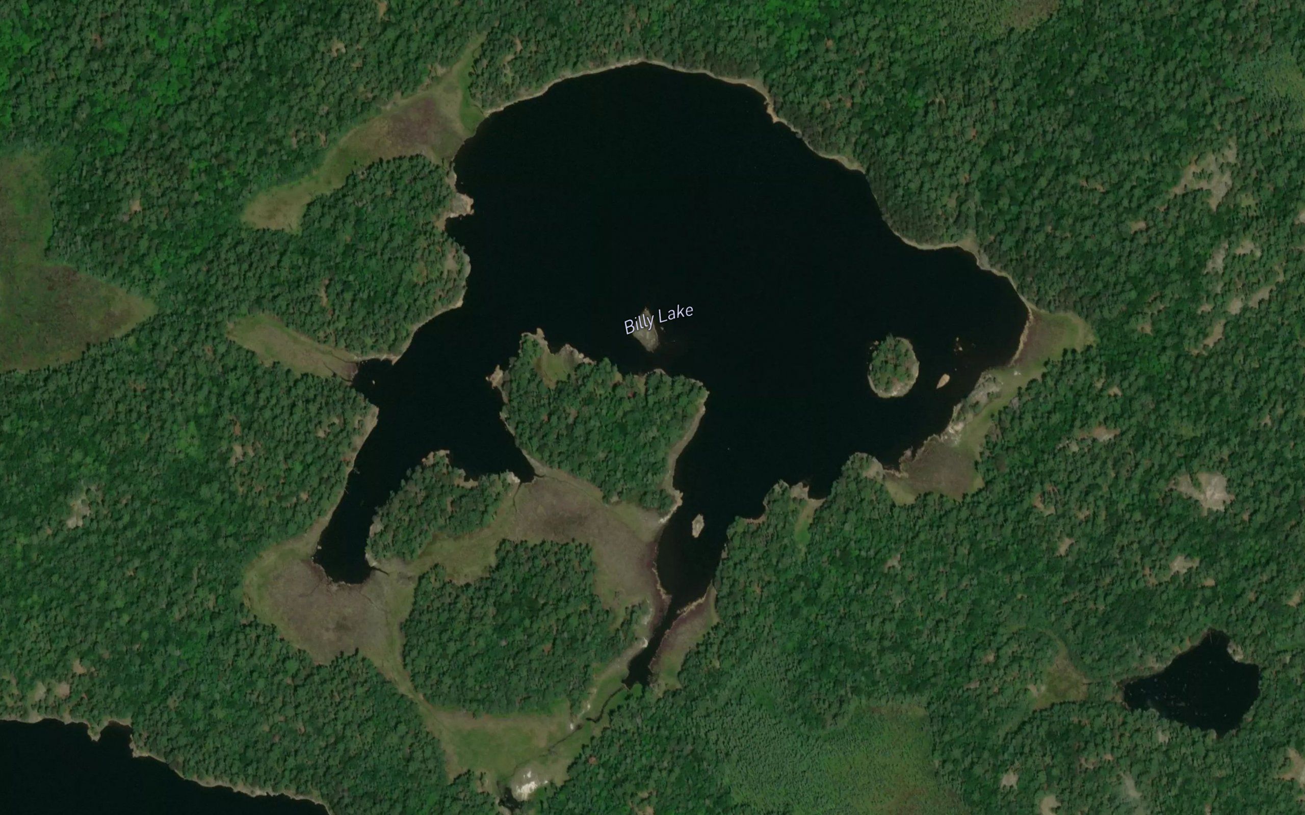 Billy Lake