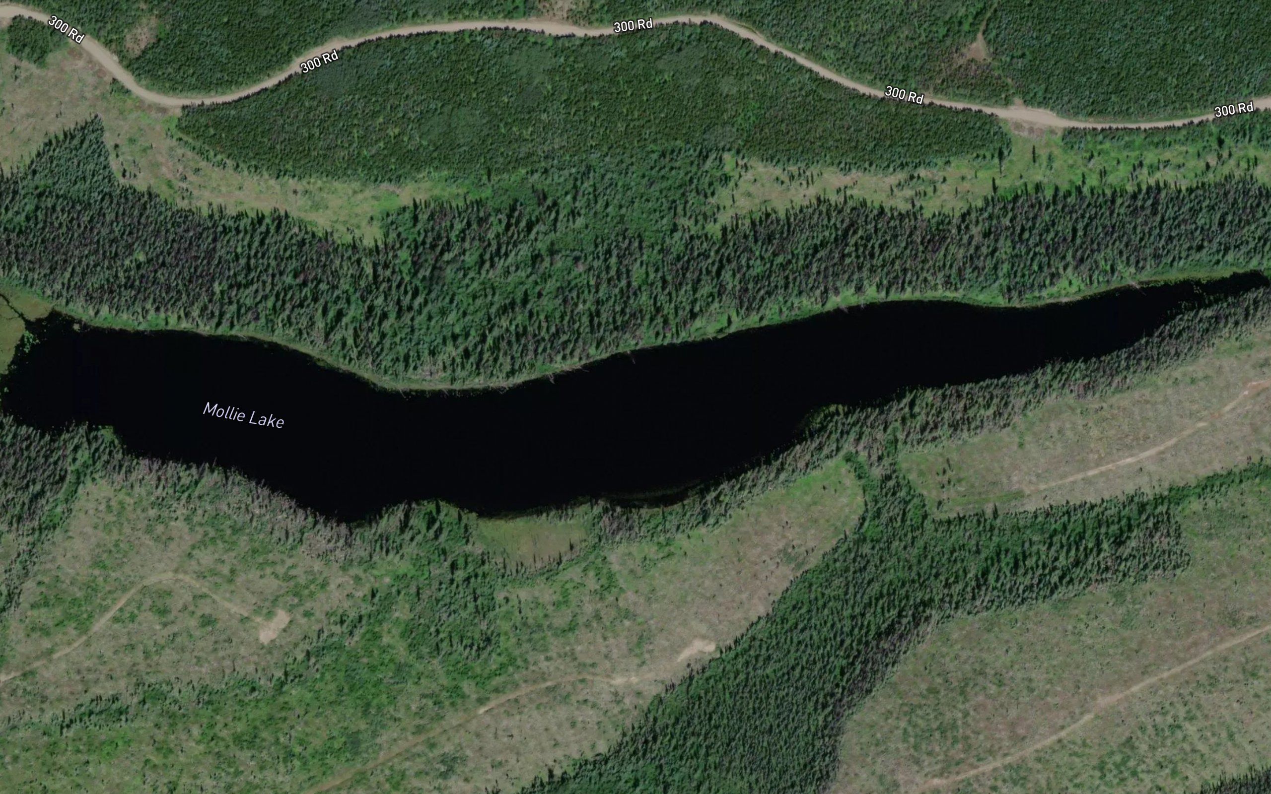 Mollie Lake
