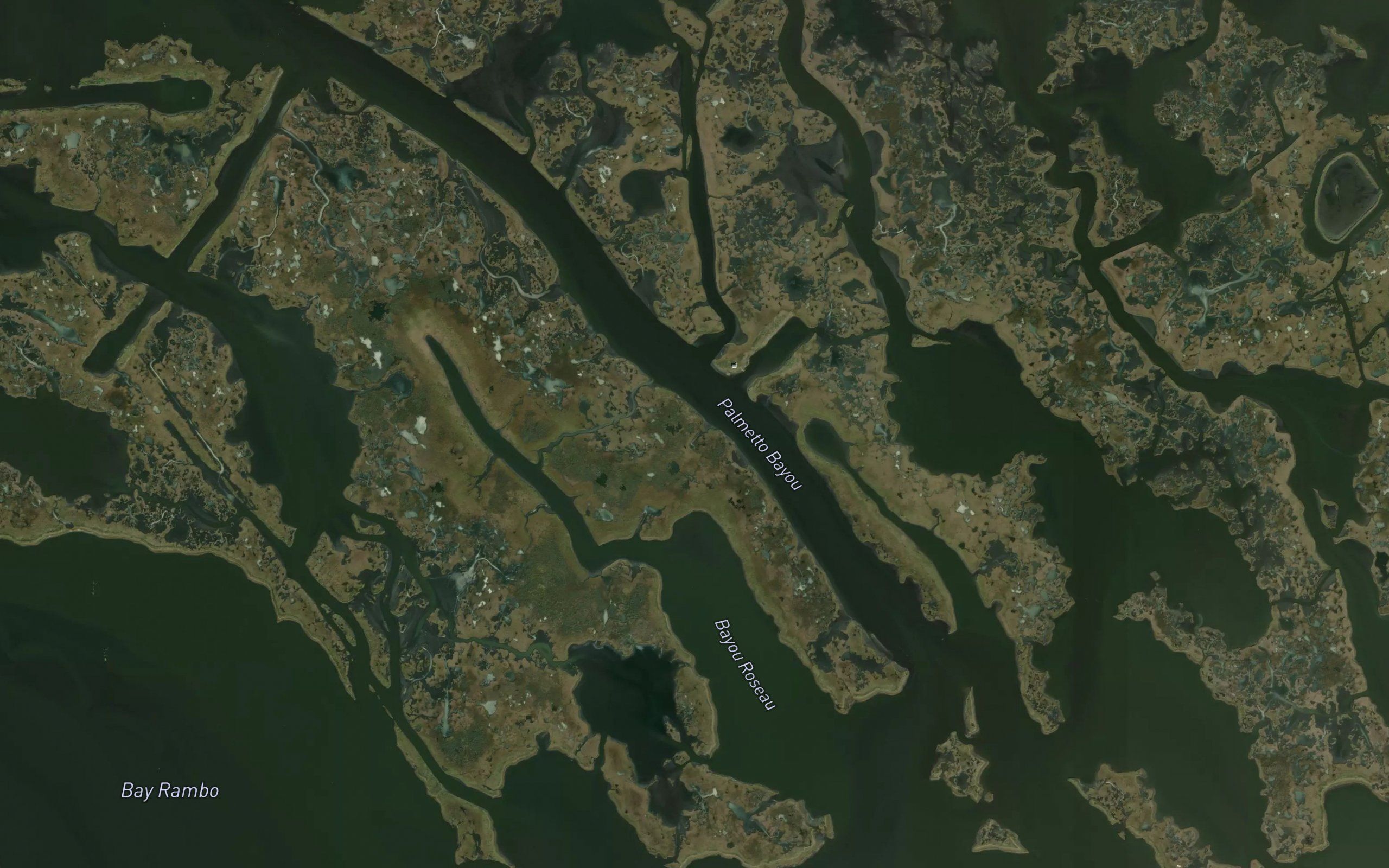 Palmetto Bayou