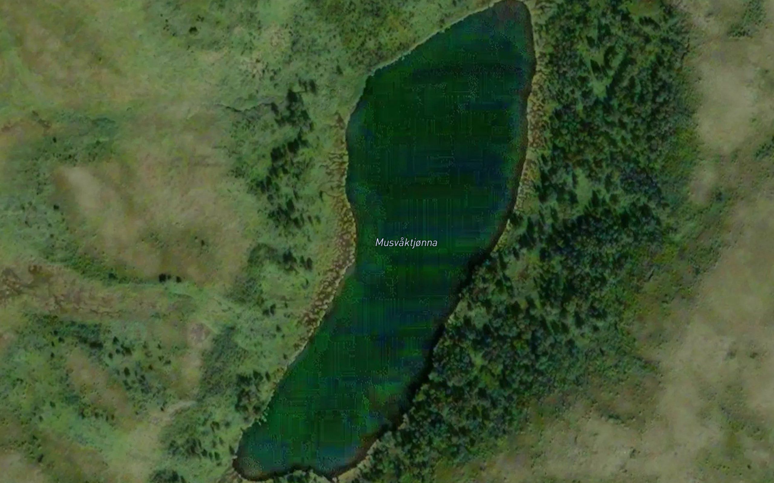 Musvaktjonna