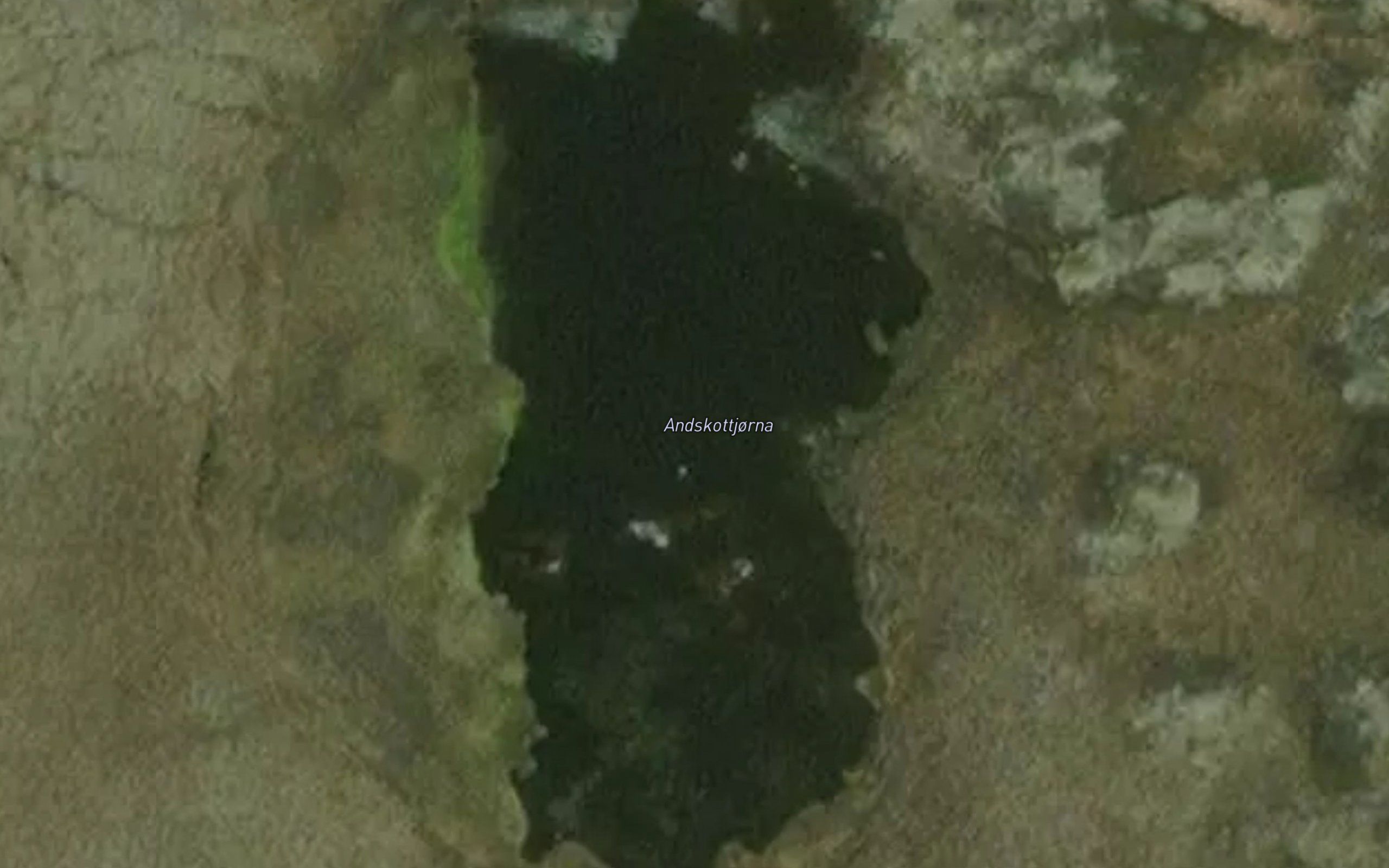 Andskottjorna