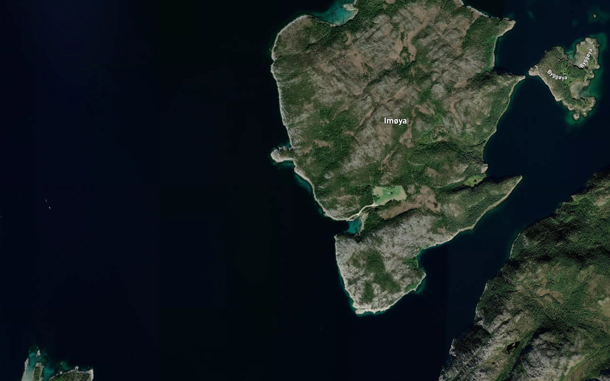Lauvvika