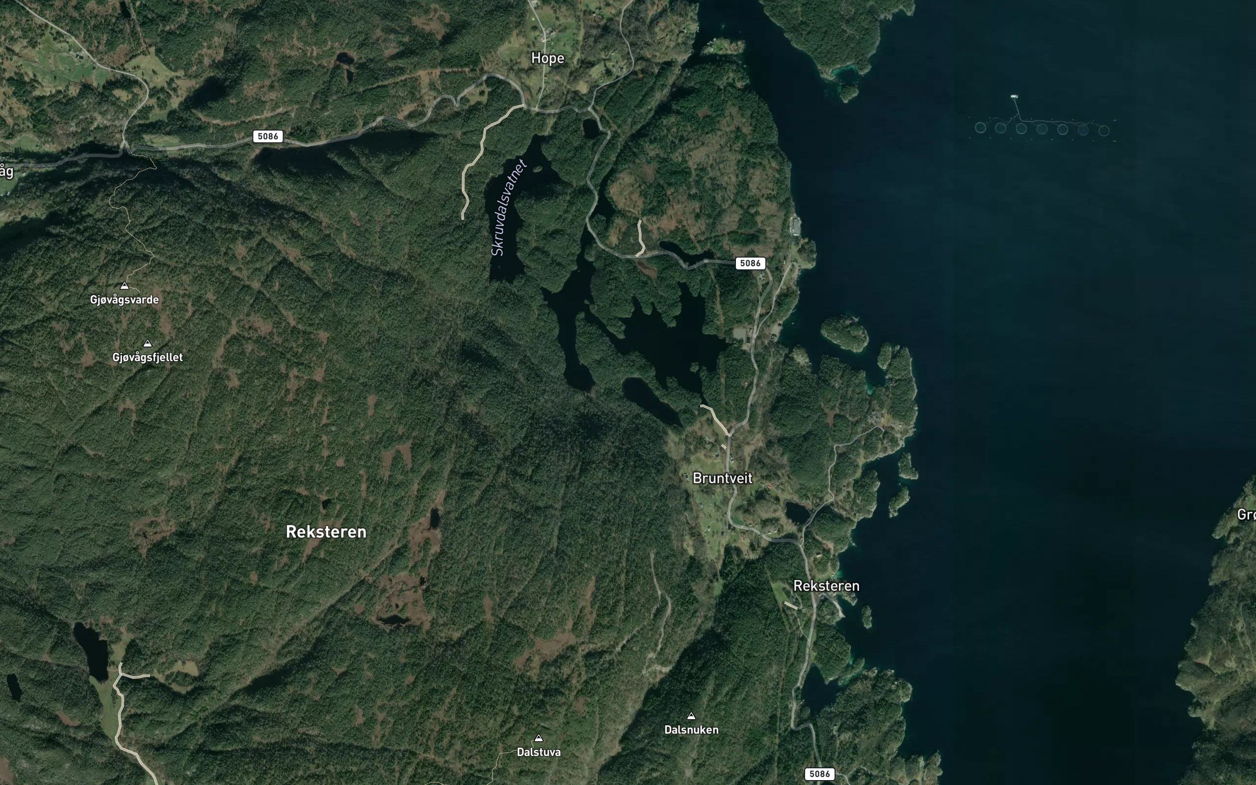Bruntveittjorna