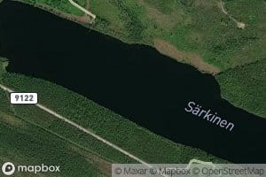 Sarkinen