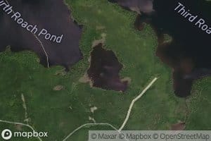 Beaver Pond