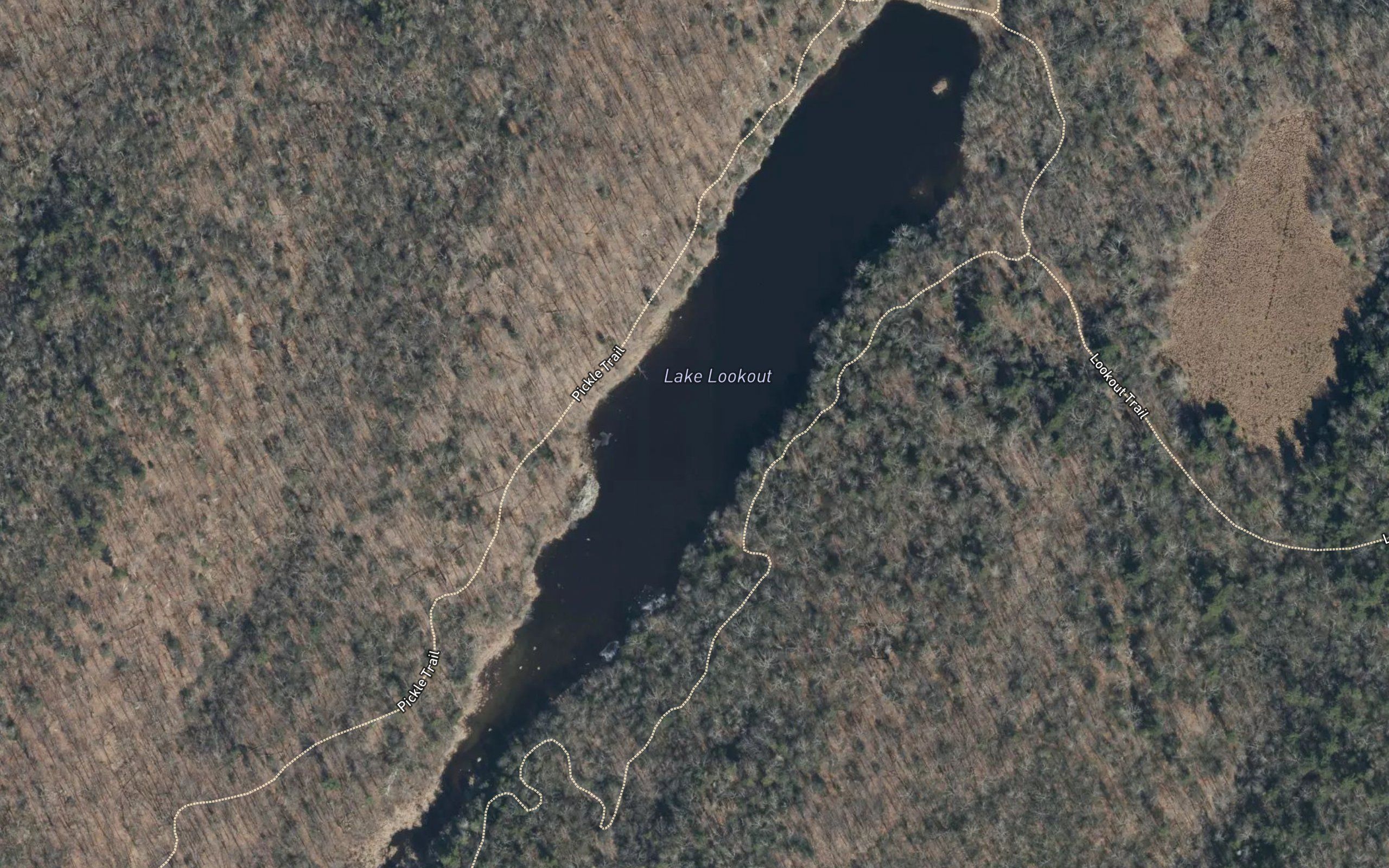 Lake Lookout