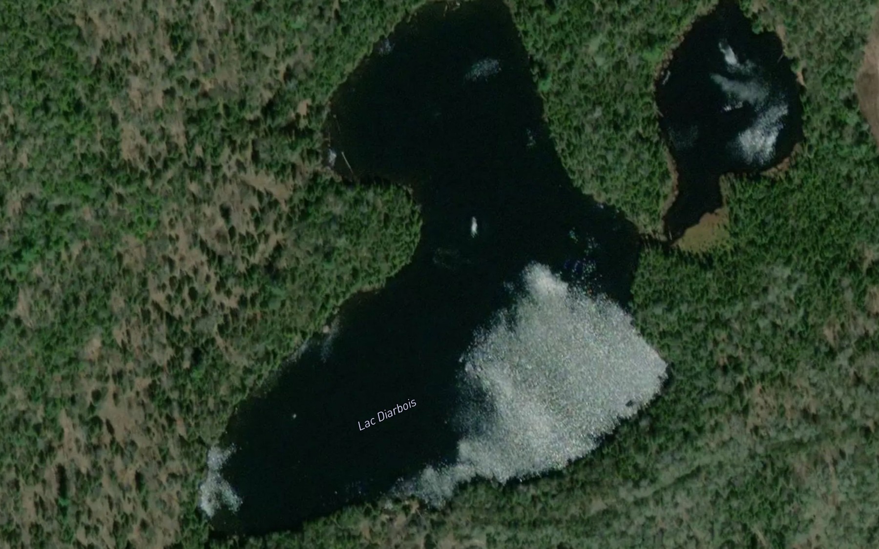 Satellite map of the Lac Diarbois
