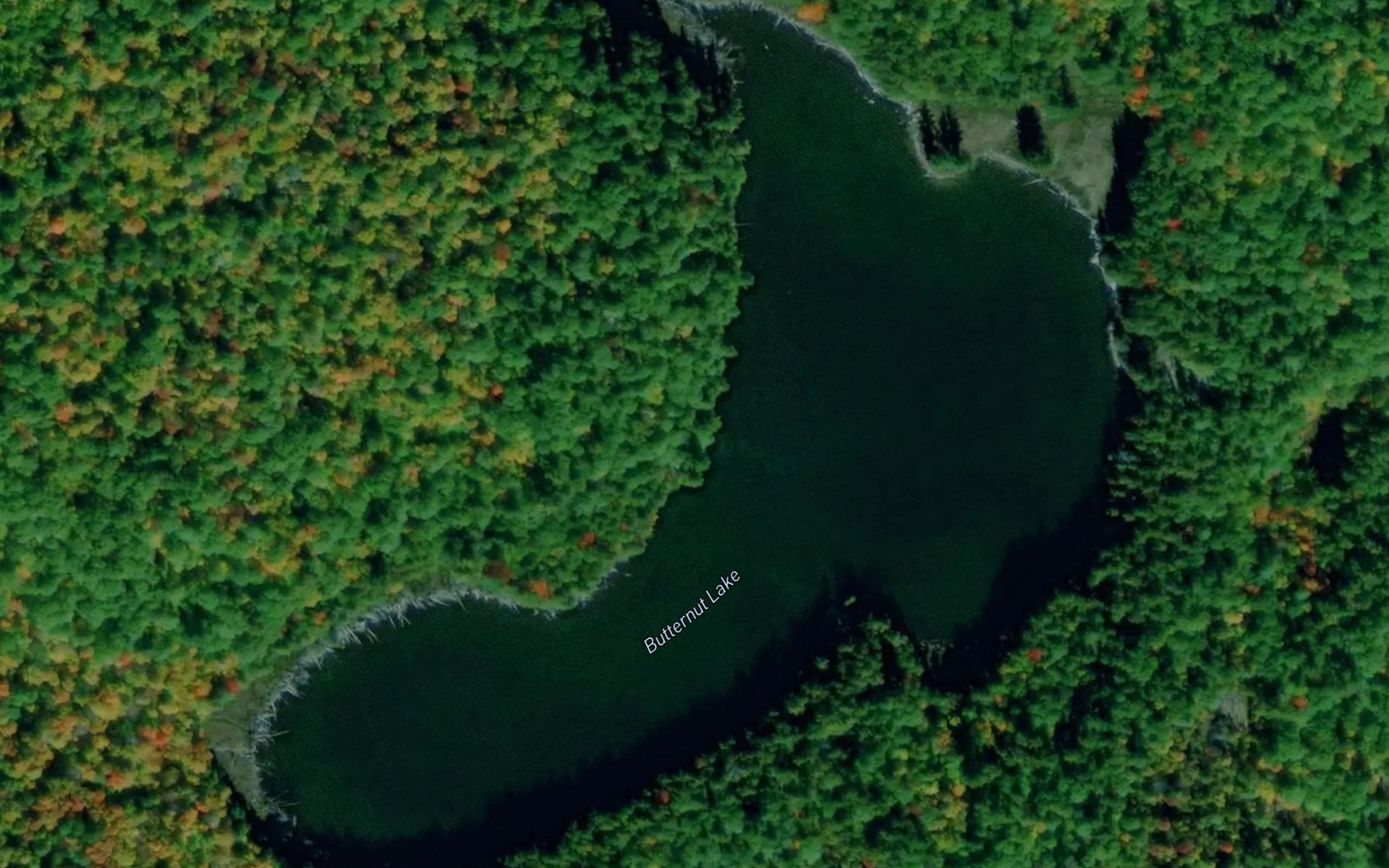 Satellite map of the Butternut Lake
