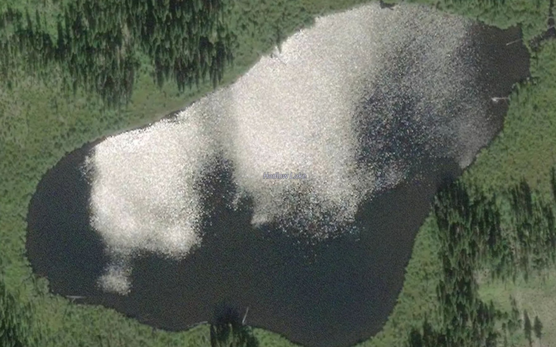 Satellite map of the Hadlow Lake
