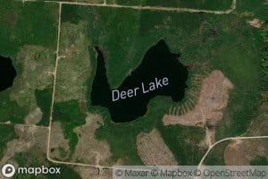 Deer Lake