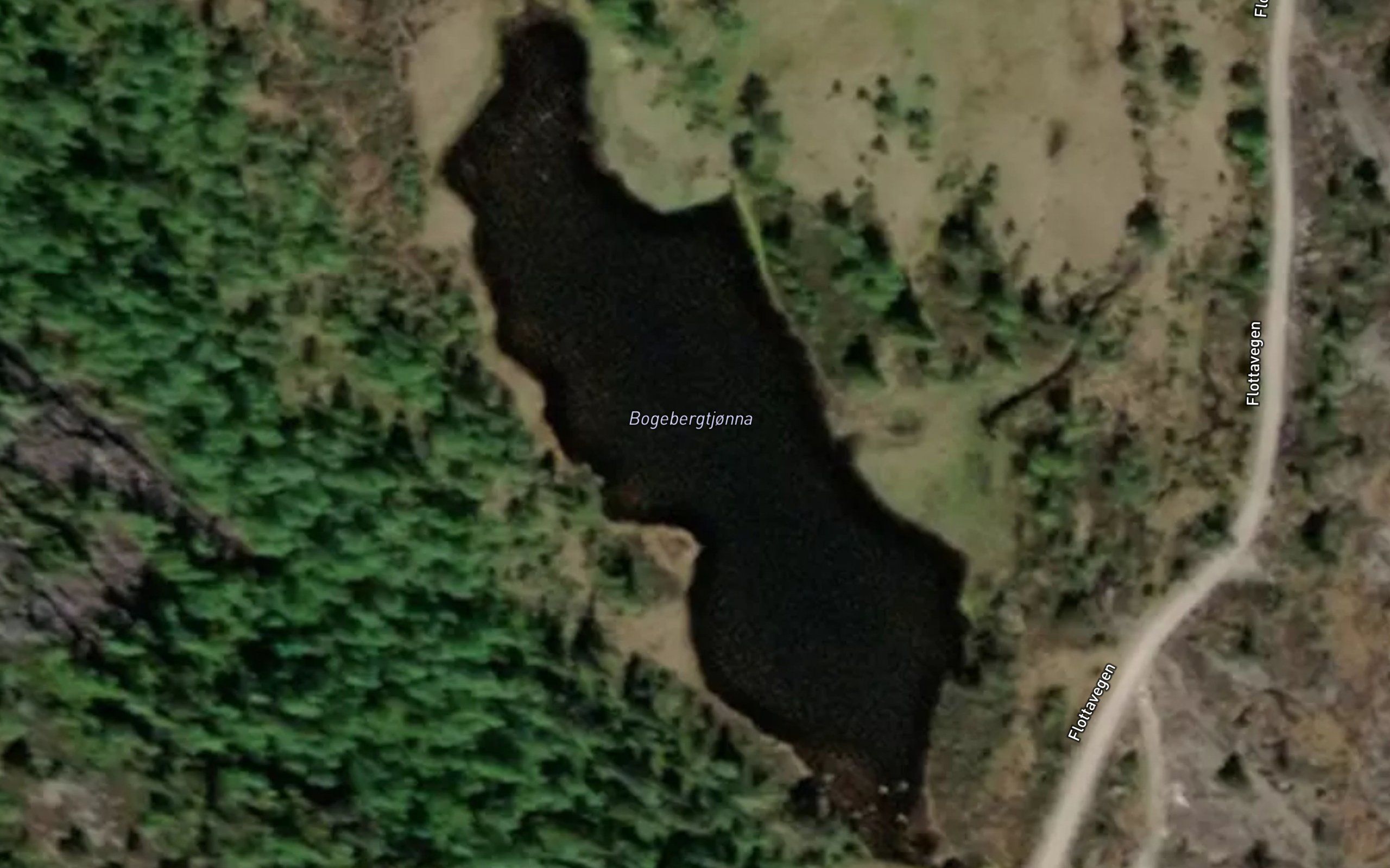 Bogebergtjonna