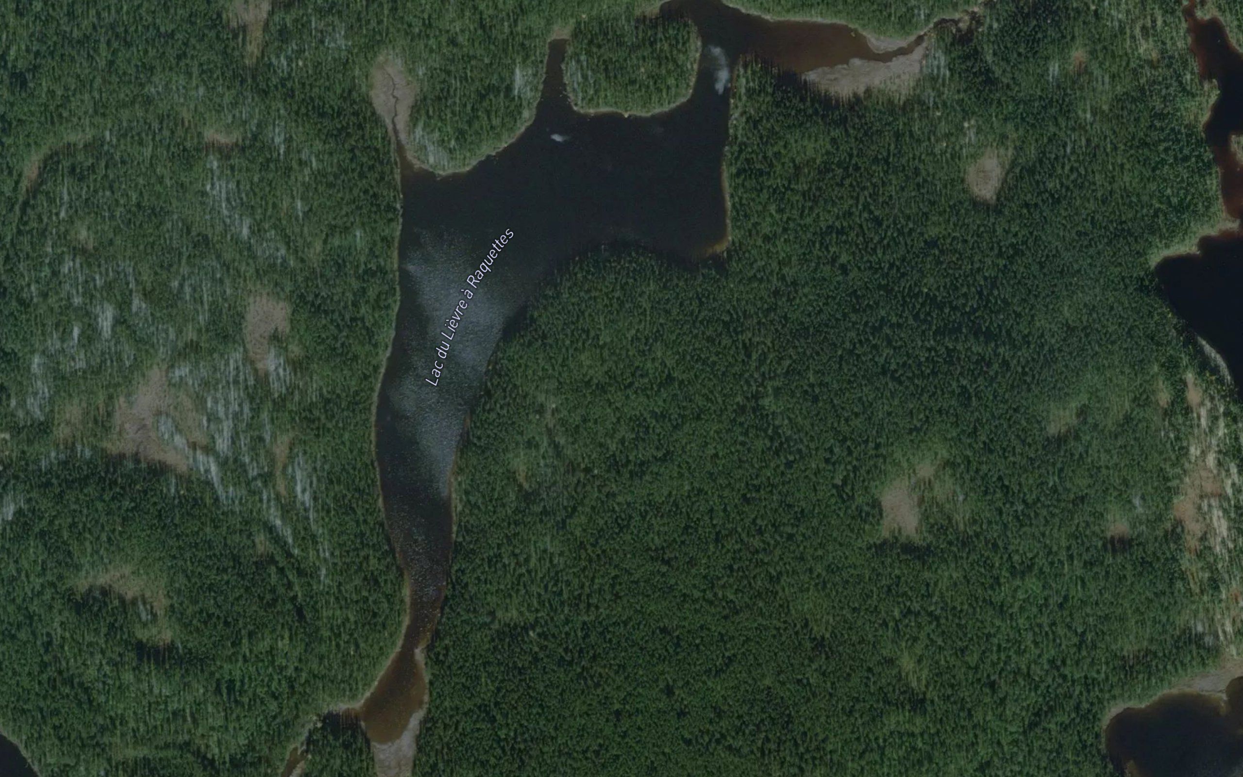 Lac du Lievre a Raquettes
