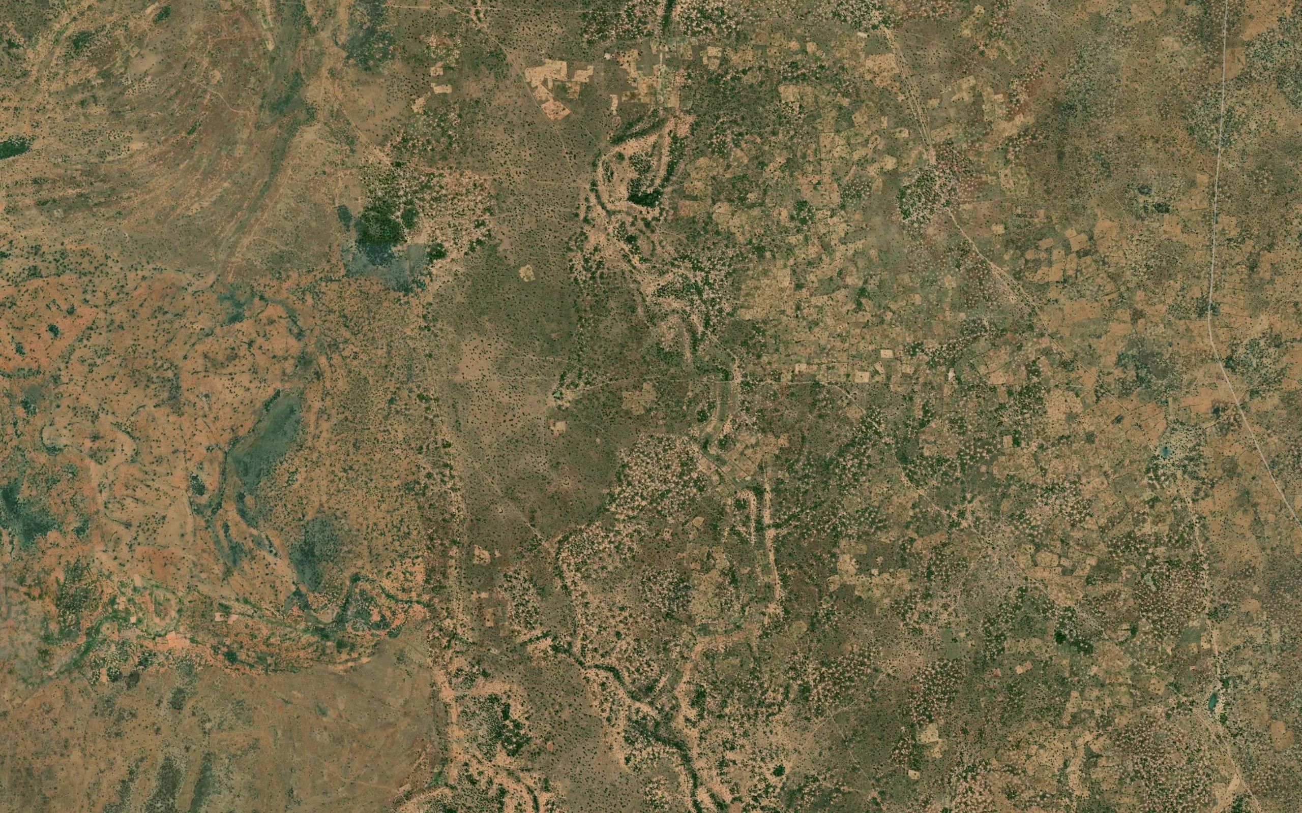 El Medabi