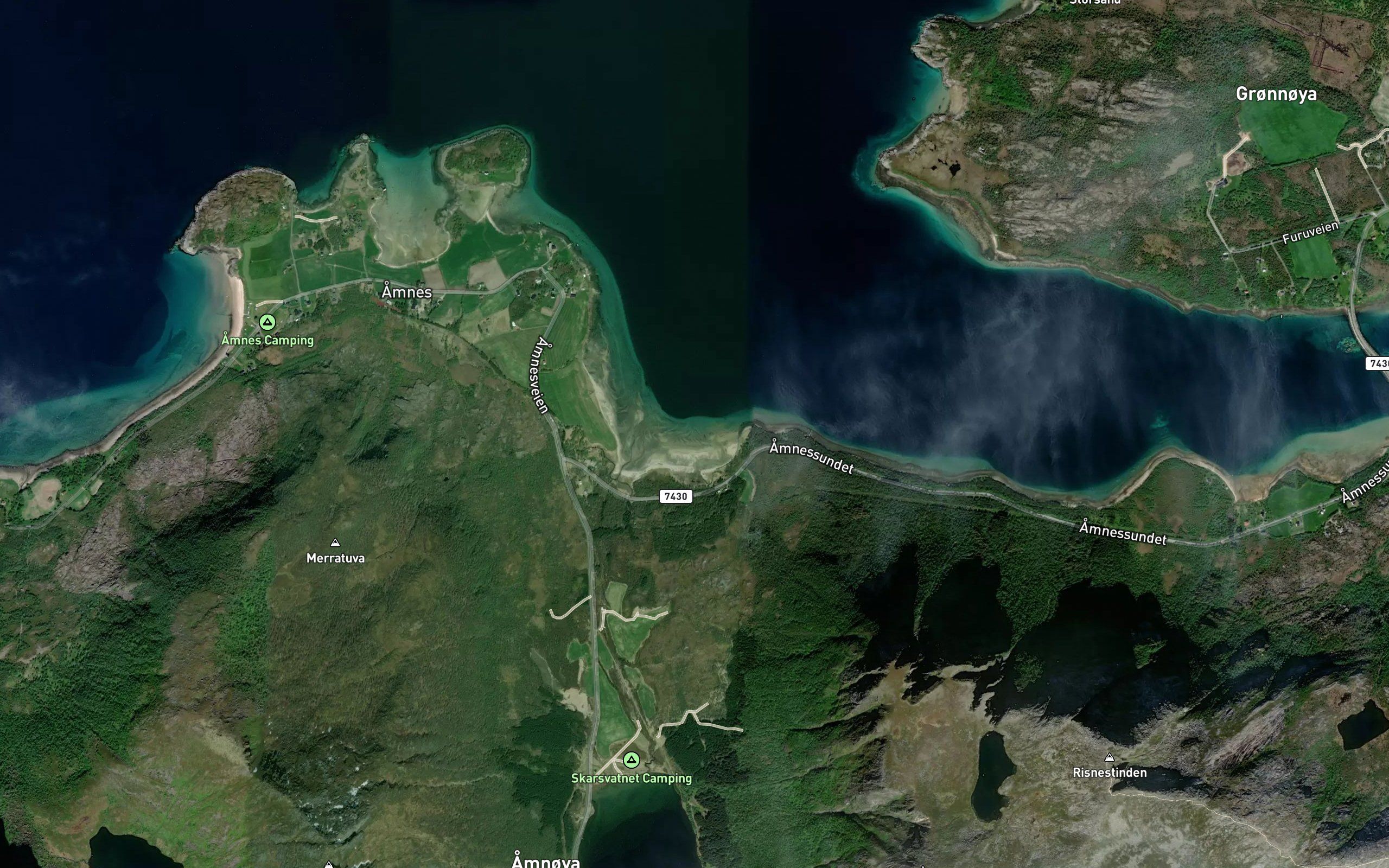 Amnesvika