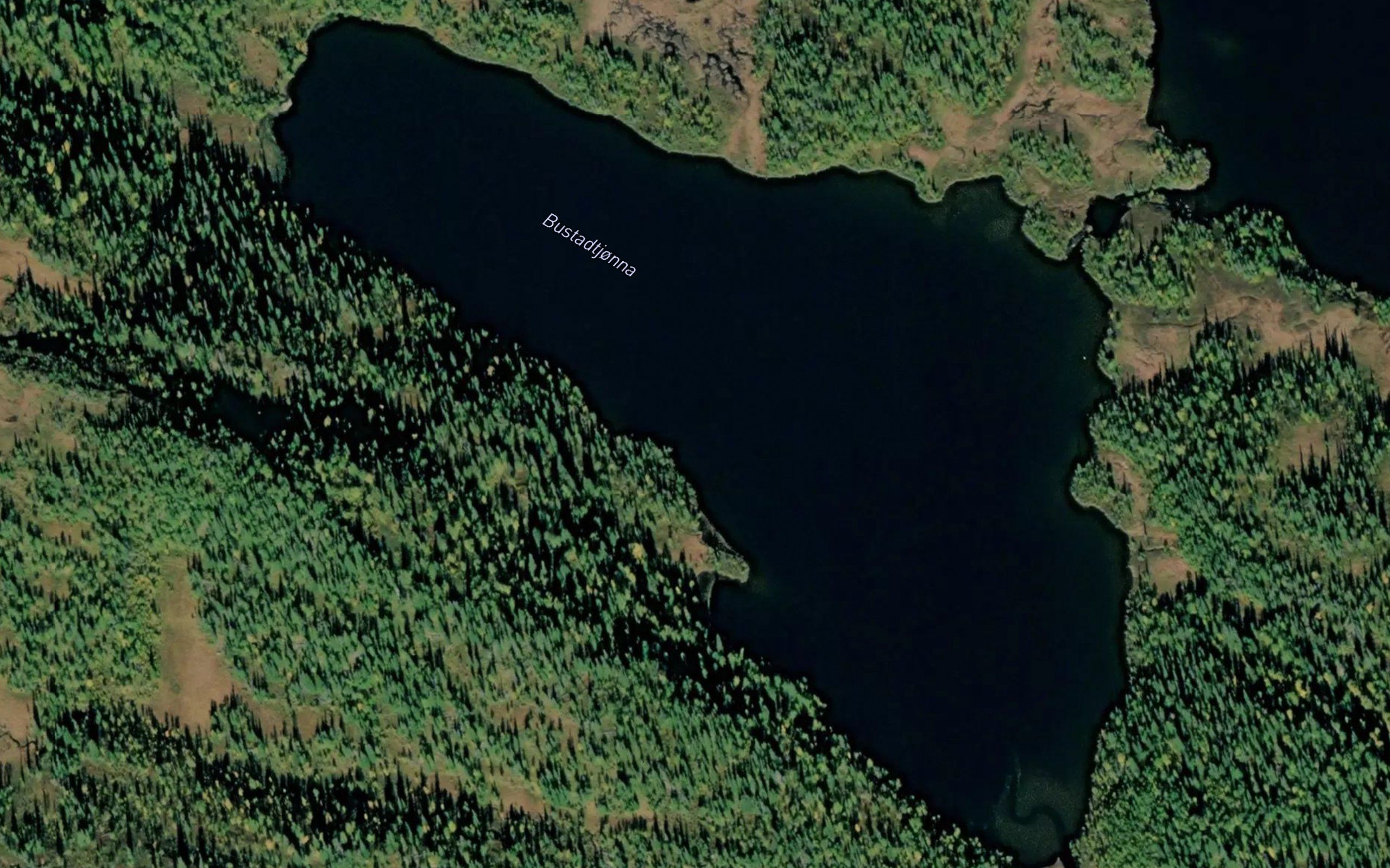 Bustadtjorna
