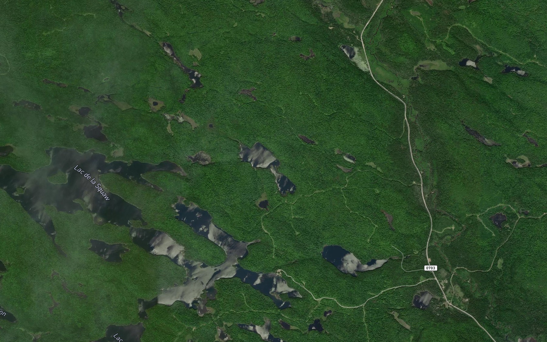 Satellite map of the Lac Mary-Grimes