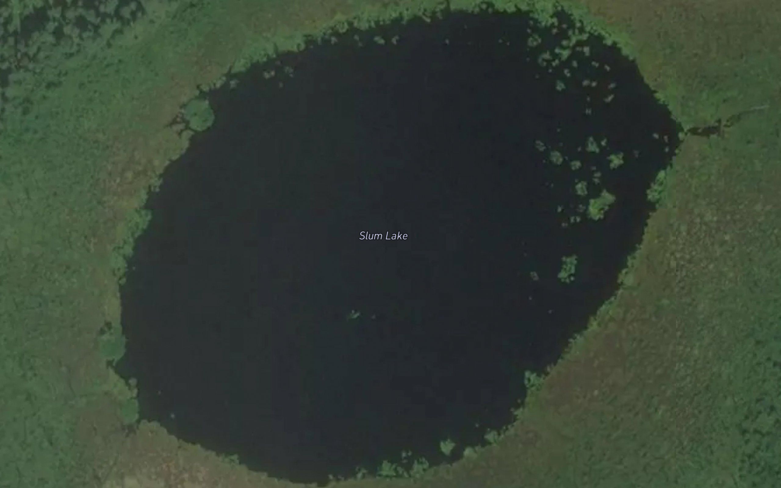 Slum Lake