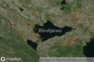 Blindtjorna