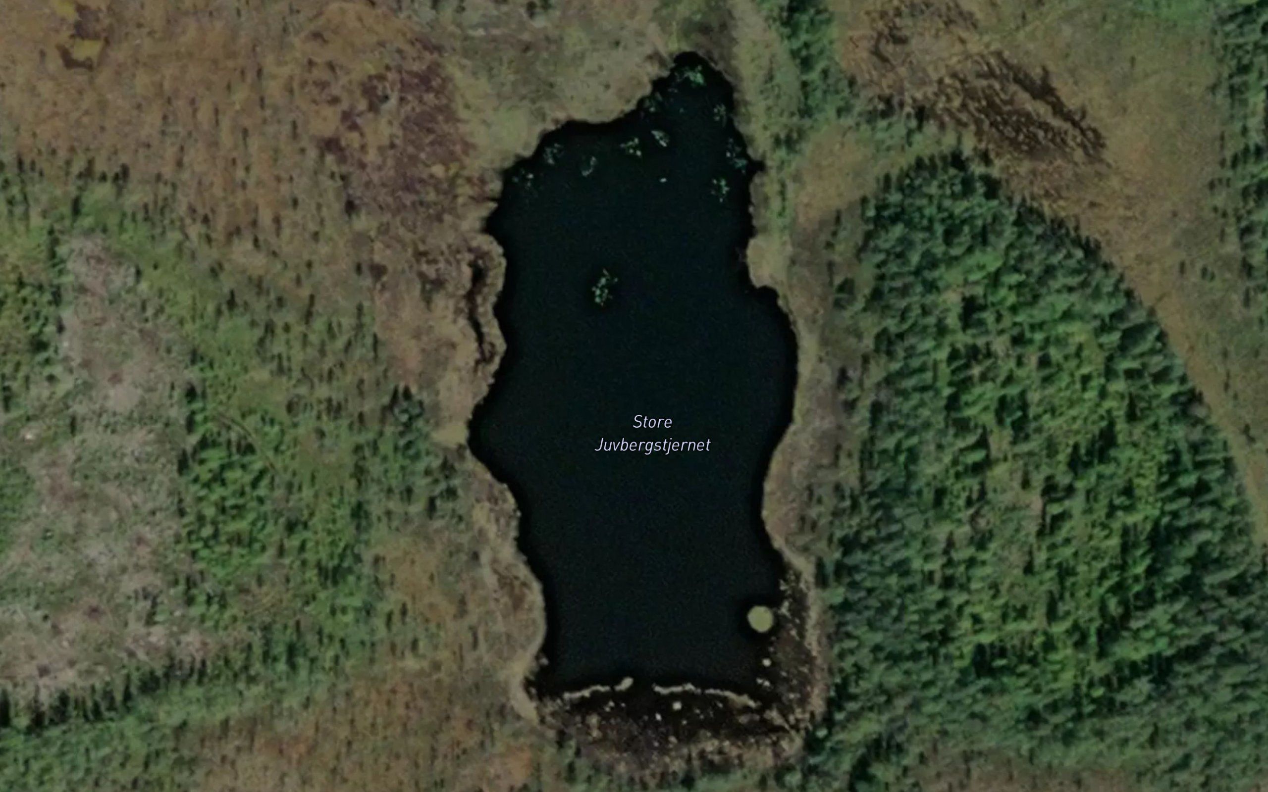 Store Juvbergstjernet
