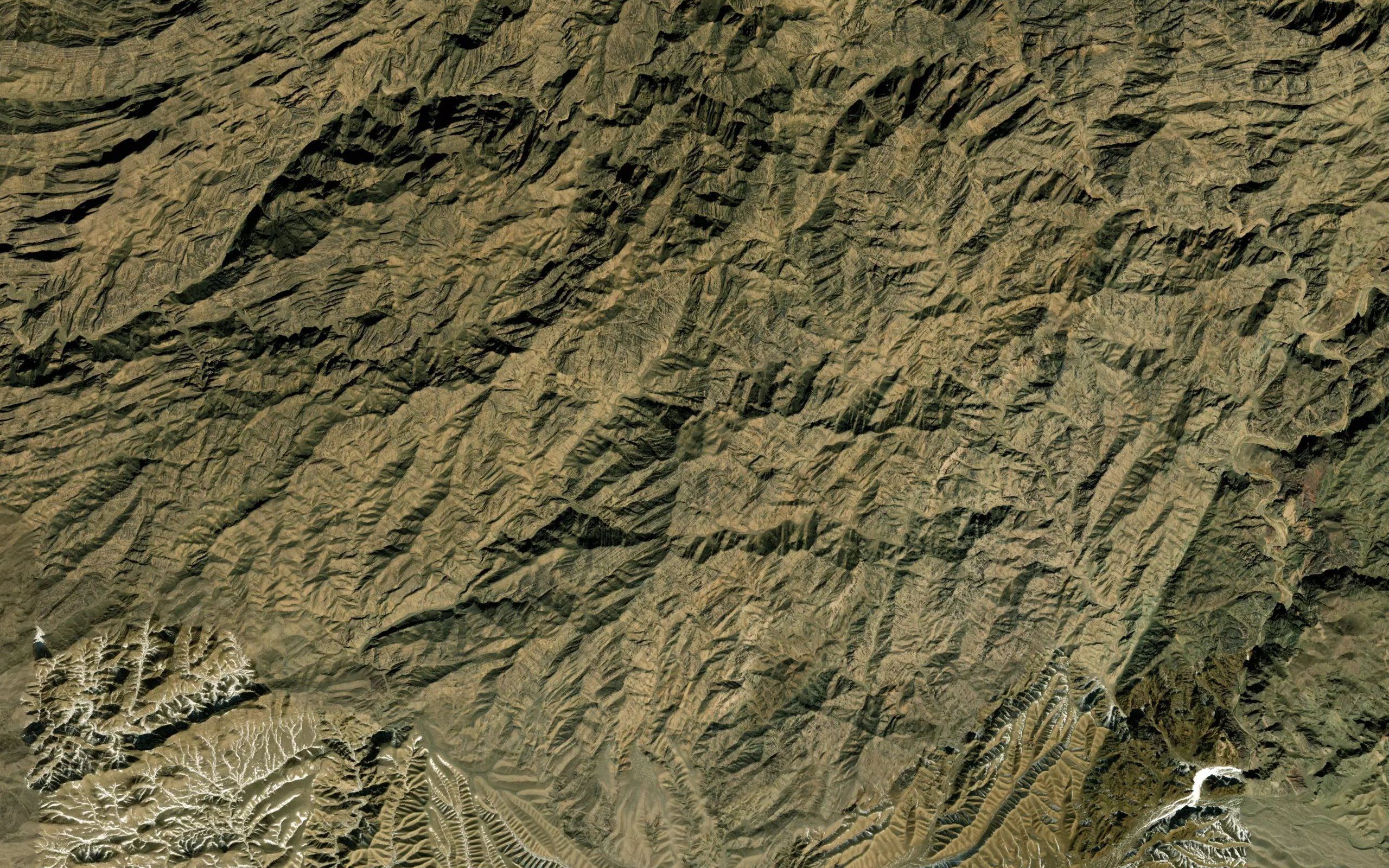 Taolai Quan