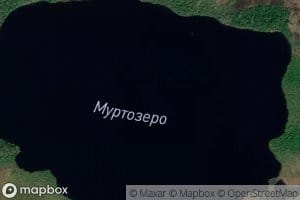Murtozero