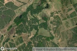 Yellow Rabbit Branch