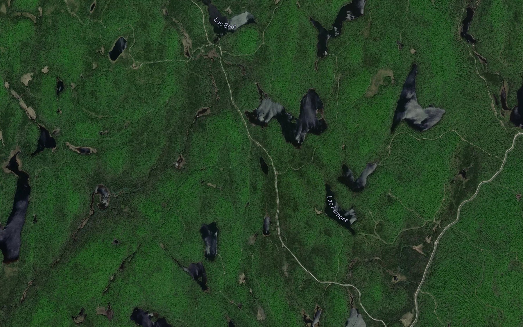 Satellite map of the Lac Fred