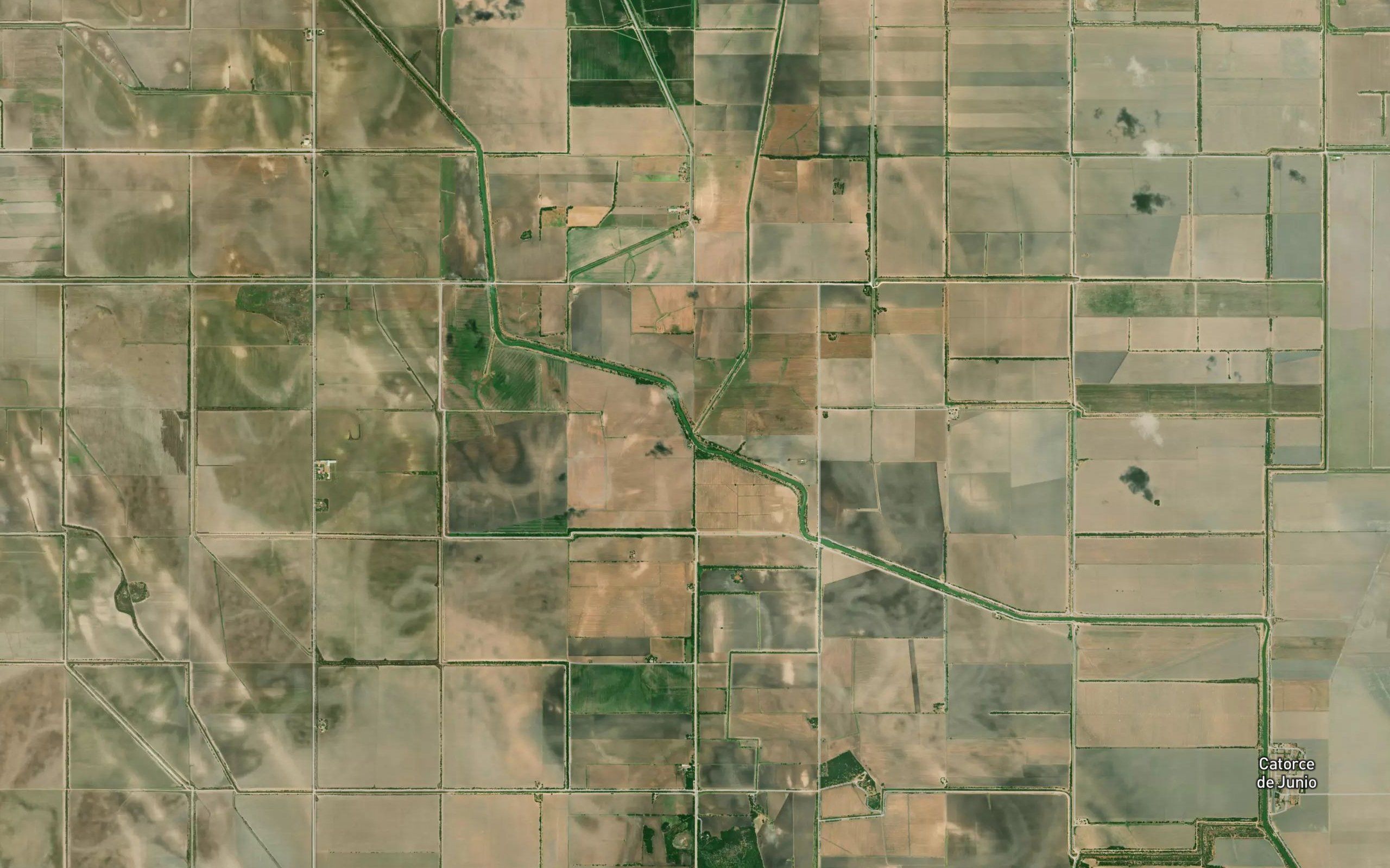 El Palmito