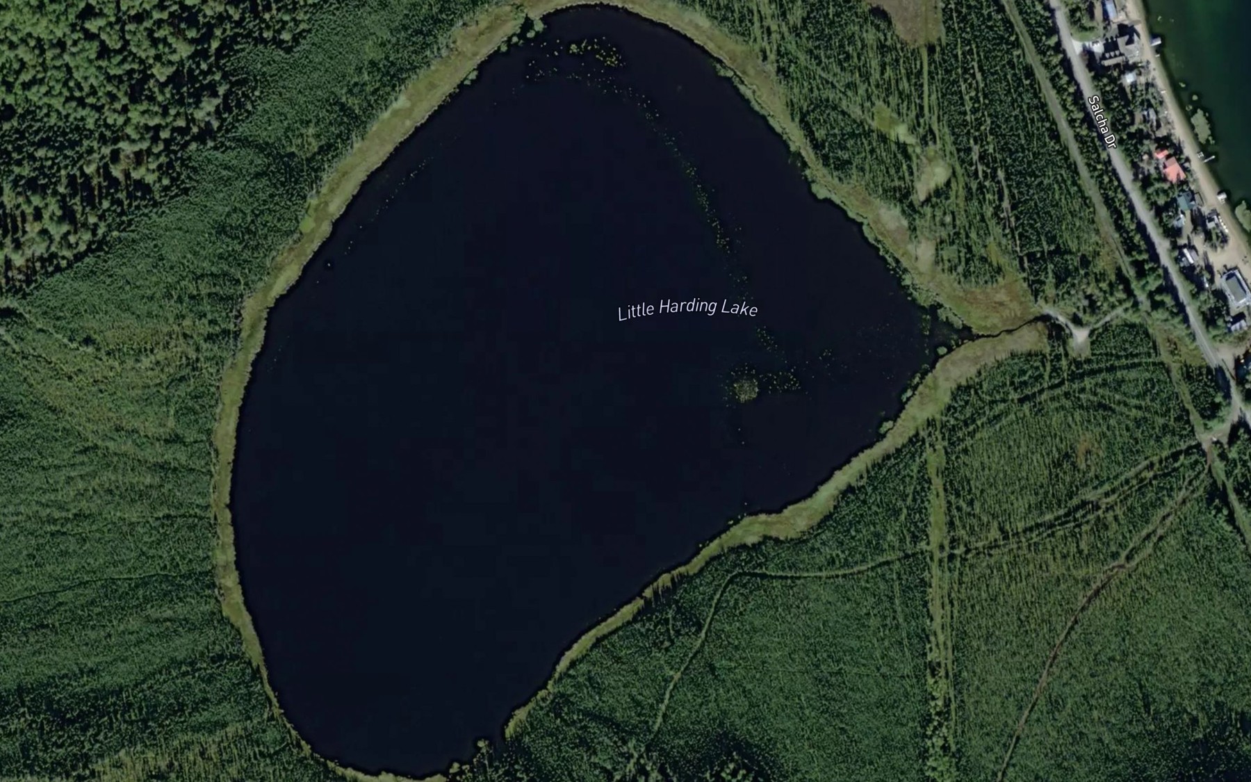 Satellite map of the Little Lake