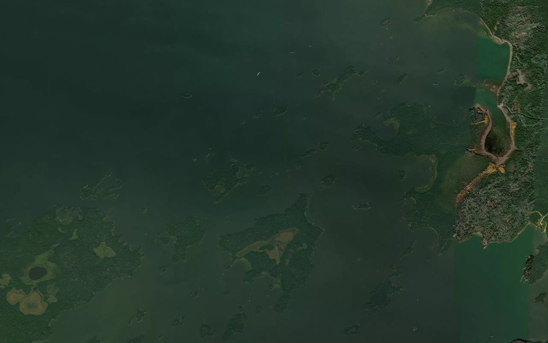 Satellite map of the Coleman's Reef